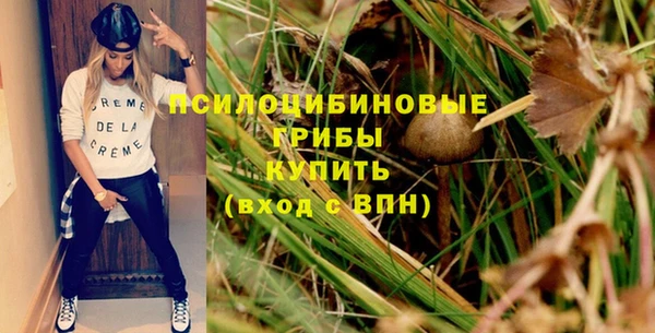 сатива Баксан