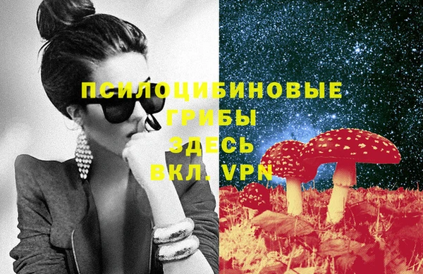сатива Баксан