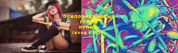 сатива Баксан