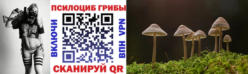 кракен рабочий сайт  Лыткарино  Псилоцибиновые грибы Cubensis 