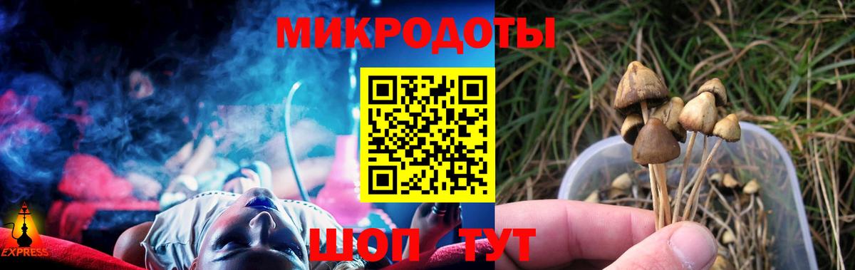 Псилоцибиновые грибы Psilocybe  Вход с VPN  Лыткарино 
